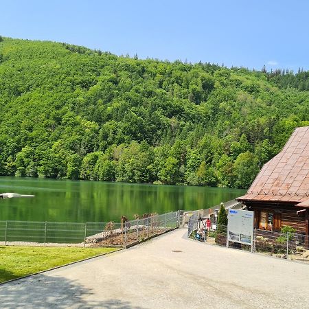 Apartament Bielskie Gory Bielsko-Biała Zewnętrze zdjęcie